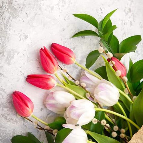 Bàn tranh treo tường xếp gọn hình hoa tulip